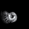 20251001_124103-25s1