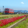 2025年 赤い久大本線 5