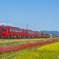 2025年 赤い久大本線 6