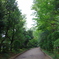朝の公園