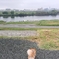 久しぶりに荒川土手