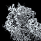 20251002_171742-2111s1