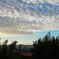 秋の空