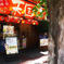 真夏の伊勢佐木町-5