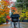 角館紅葉散歩Ⅲ