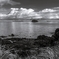 Monochrome