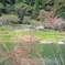 桐生川ダムのほとり
