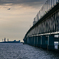RINKU Sunset_20251006