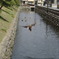 離陸