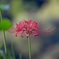 D72784CA-1D0C-484E-B20D-7FD9DFB513AC