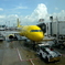 す2025 US旅日記８：Houstonにて４：Spirit Airlines