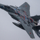 2025 小松基地航空祭 306飛行隊 記念塗装機