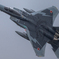 2025 小松基地航空祭 303飛行隊 記念塗装機