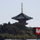 成田山（××寺）