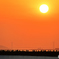 大屋根リング越しの明石海峡大橋と夕陽