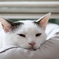 眠そう