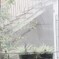 汚れたガラスの向こうが…優しかった…