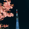 Tokyo Sky Tree