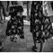 monochrome