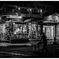 monochrome