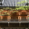 緑雨の門前にて