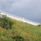 淀川河川敷