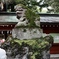 大国魂神社2