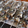 ヤマメの塩焼き