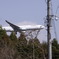 飛行機