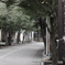 谷汲山華厳寺参道