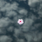【 花空 】