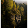 Autumn/Fall in the gorge