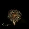 夜空に咲かせて