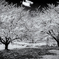 IMG_7756-2-2-3s1