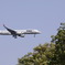 飛行機