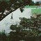 朝公園