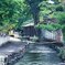 中山道を歩く(最終回）　板鼻堰用水路