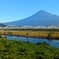 本日の富士山