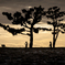 RINKU Sunset_20251008
