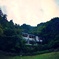 森の廃墟