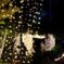 20250925_北海道出張_JOZANKEI NATURE LUMINARIE
