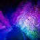 20250925_北海道出張_JOZANKEI NATURE LUMINARIE
