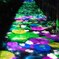 20250925_北海道出張_JOZANKEI NATURE LUMINARIE