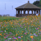 秋景色JERAパークの花たち＃１