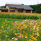 秋景色JERAパークの花たち＃６