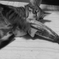 P1080728　獲った～♪