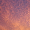 251008-172609