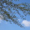 青空