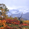 ガスと雨と紅葉　燕岳