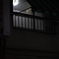 独り　その454